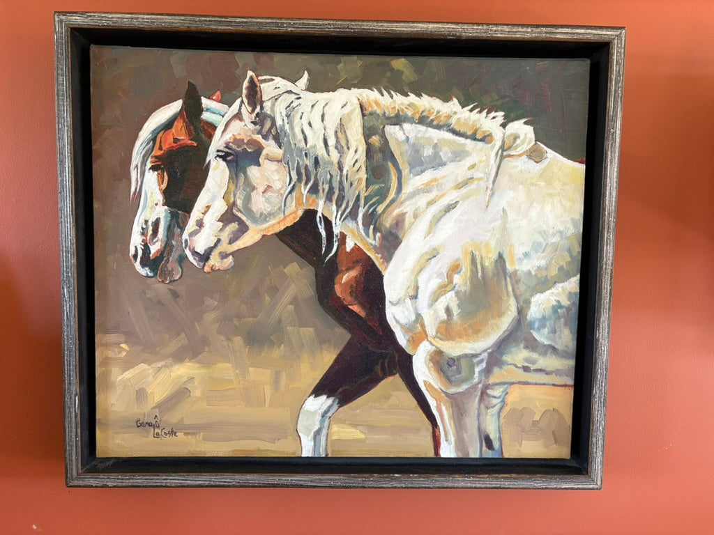 Summer Broncs