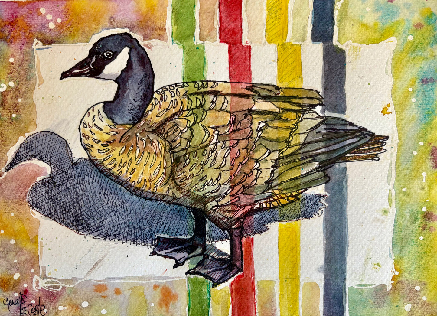 Hudson's Bay Honker