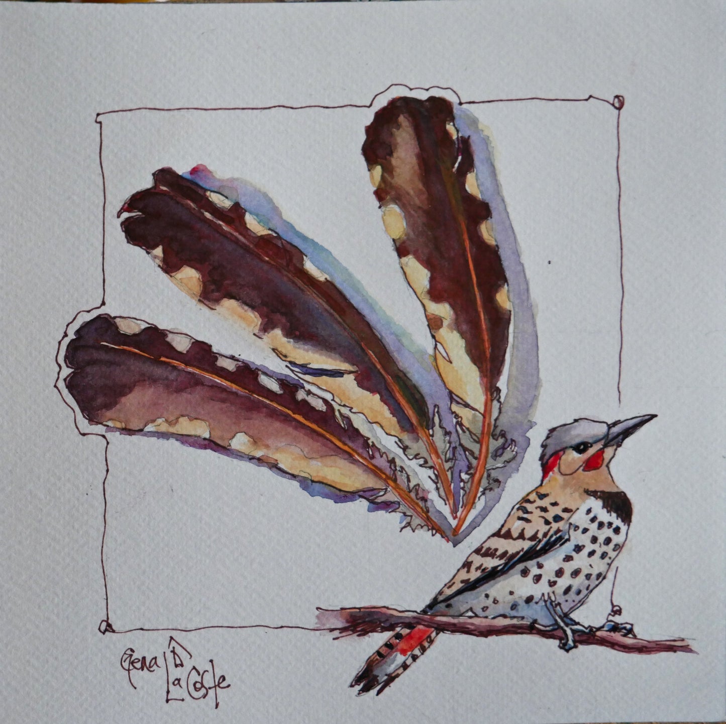 Flicker Feathers
