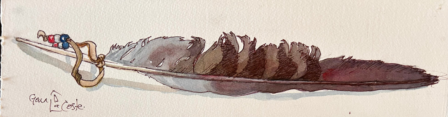 Hawks' Wing Feather.