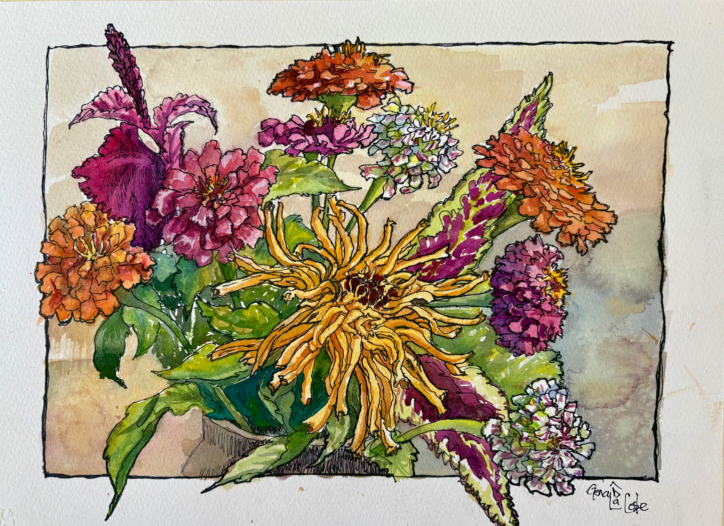Zinnias Gone Wild
