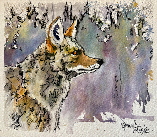 Coyote and Winter Trees