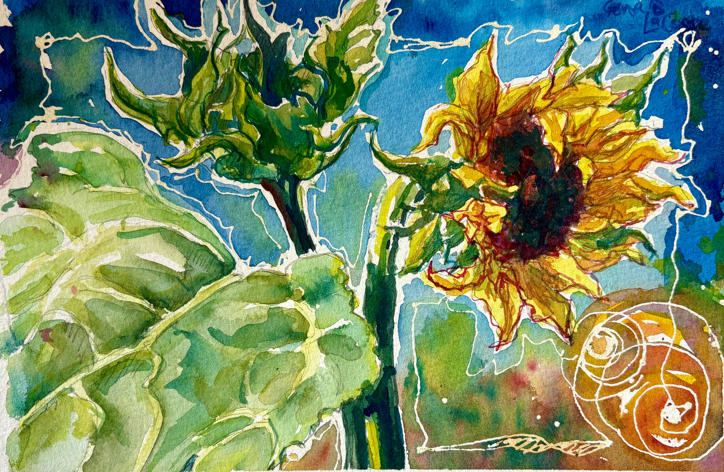 Sunny & Her Li'l Bud