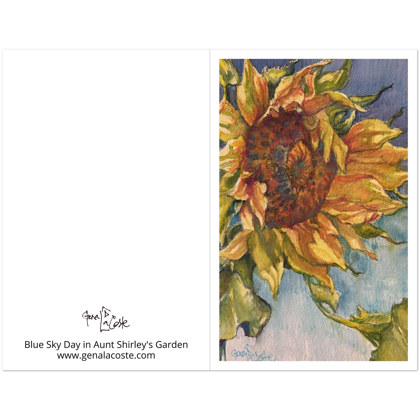 78135aa2-24a2-494a-8b77-fbae6bc524db