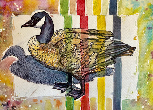 Hudson's Bay Honker