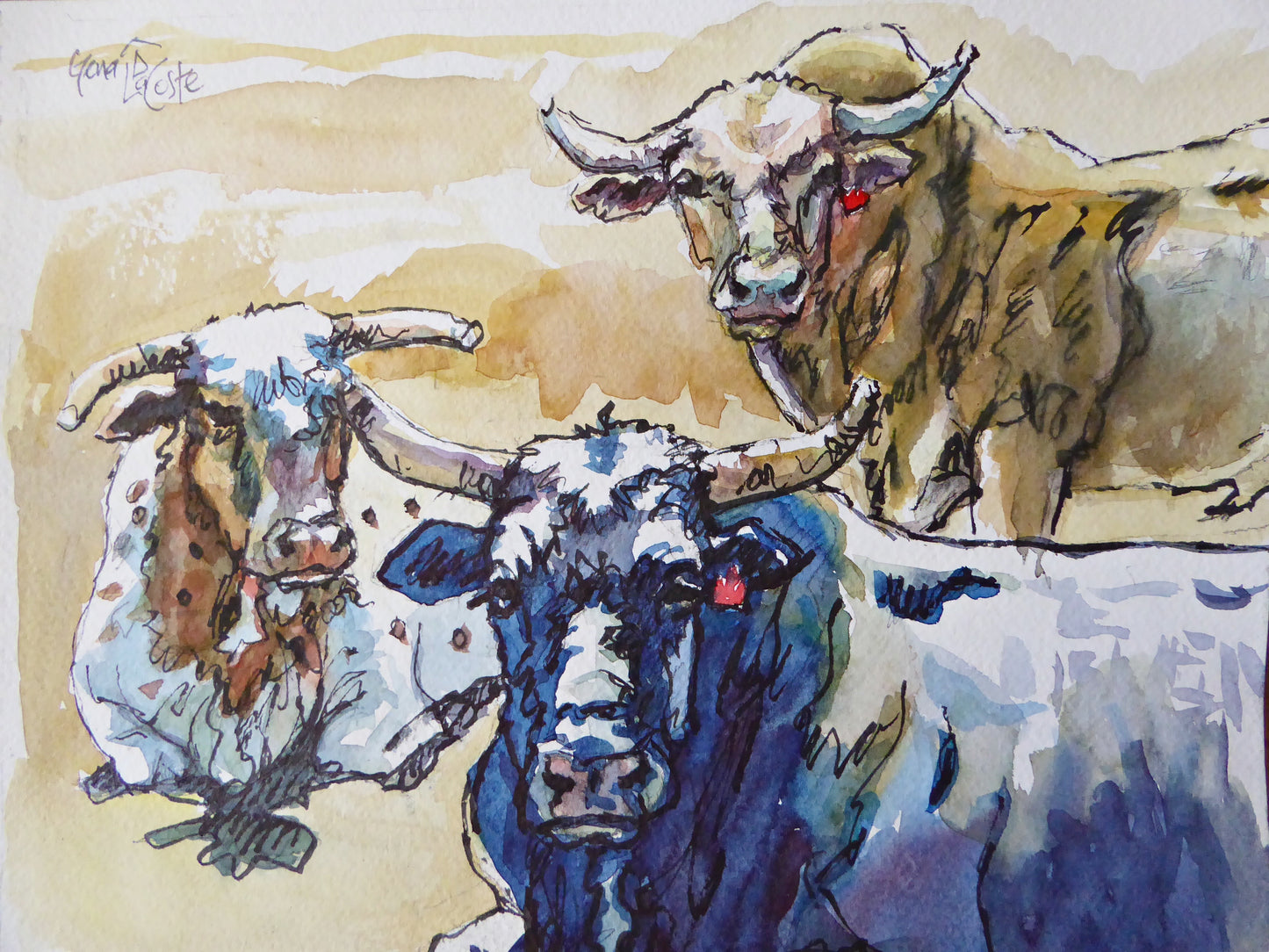 Basking Bucking Bulls