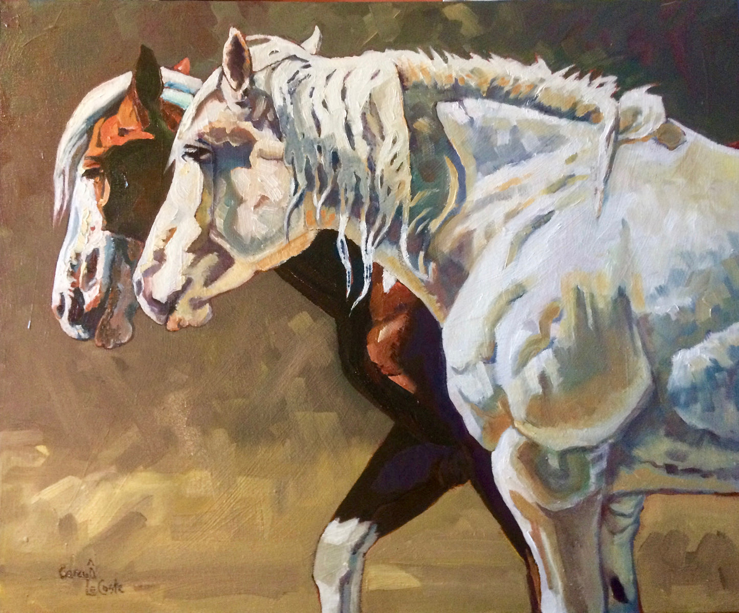 Summer Broncs