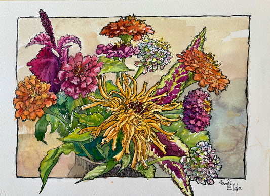 Zinnias Gone Wild