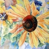 Giant_Sunflower_&_Friends