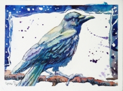 Snowy Night Crow